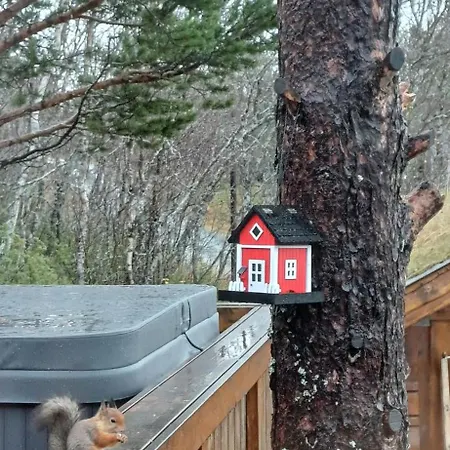 Hébergement de vacances Malangen