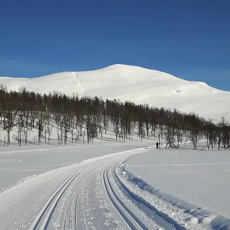 Malangen Holiday home *