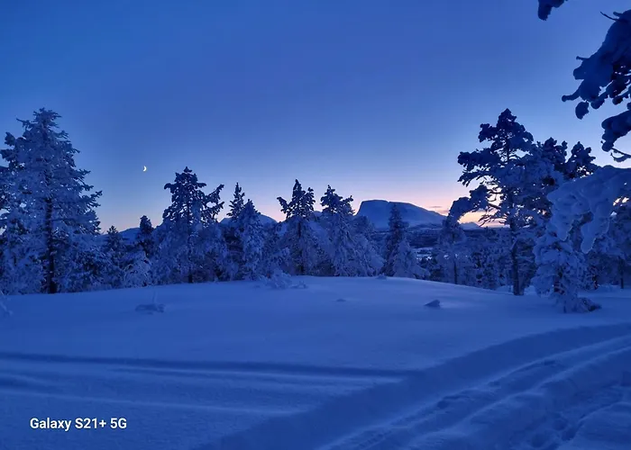 Malangen * Mestervik