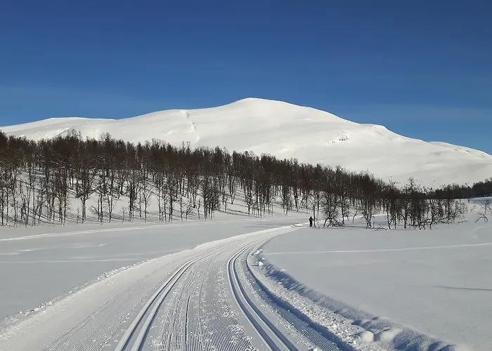 Malangen Tatil Evi *